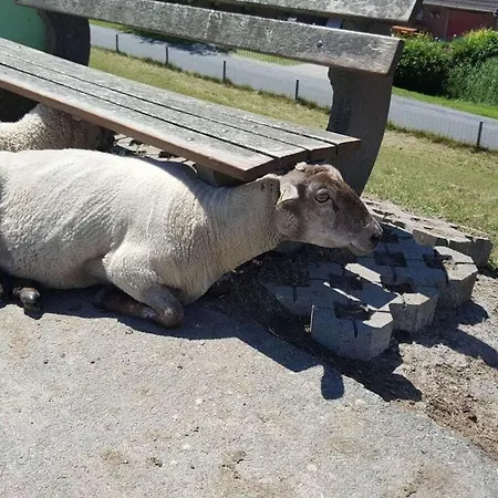 Pearl Comfortable Holiday home Butjadingen